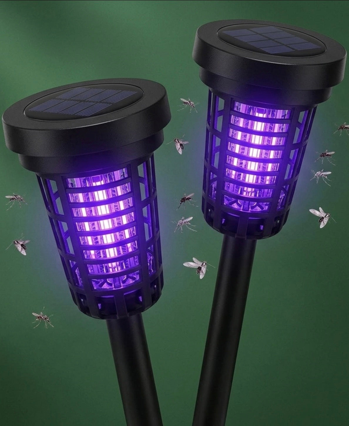 Anti-Mosquito Lamp